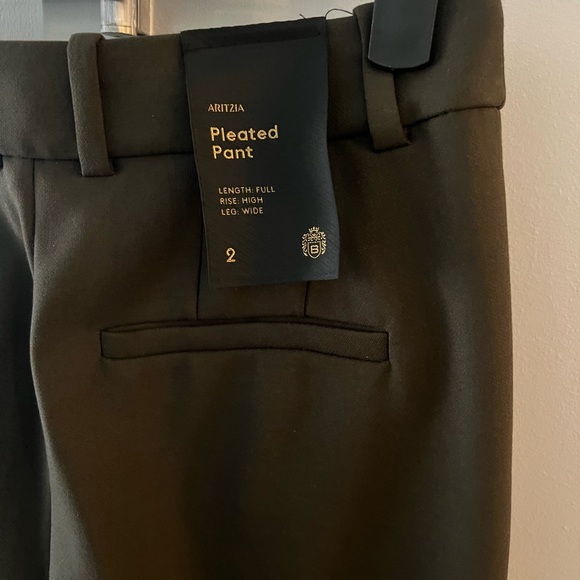Aritzia Pleated Pants in Deep Green